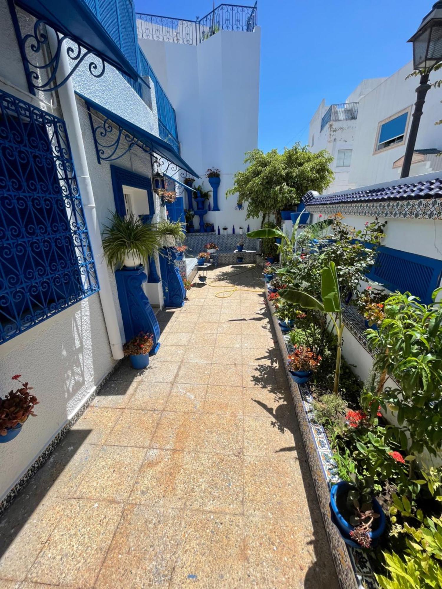 Villa The Blue And White Perle Sidi Bou Ali Exterior foto